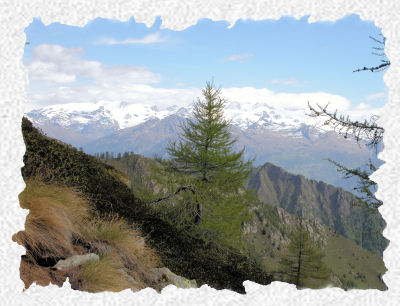 Panorama sul gruppo
del Monte Rosa dal Colle Fiotte
(47217 bytes)